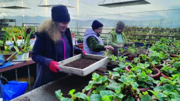 WhatsApp Image 2024-01-29 at 10.41.00_583c4bcf